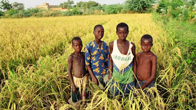 Group of boys standing in a field