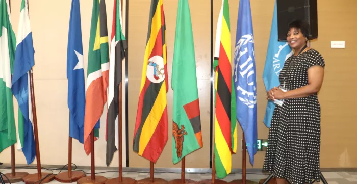 A lady standing on some of Africa countries flags 