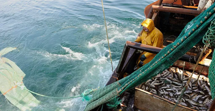 Fisherman on a bottom trawl