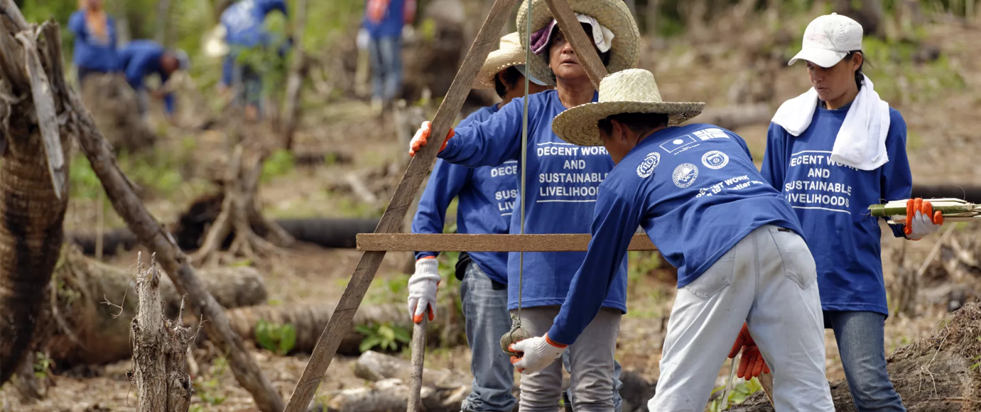 Workers in emergency employment rebuild after Super Typhoon Haiyan using the slope agriculture land technology to prevent soil erosion.